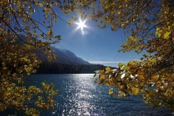 herbst sonne