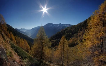 lerchen herbst1