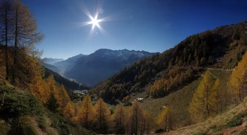 lerchen herbst2