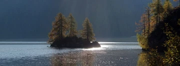 lerchen im see