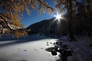 lerchen schnee1