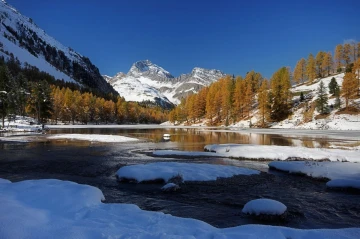 lerchen schnee4