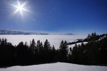 nebelmeer4