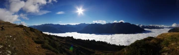 pano wurzbodene
