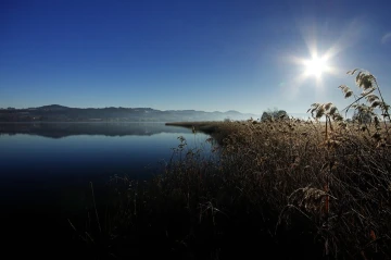 pfaeffikersee sonne2