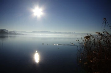 pfaeffikersee sonne3