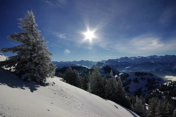 rigi winter2