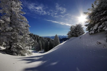 rigi winter3
