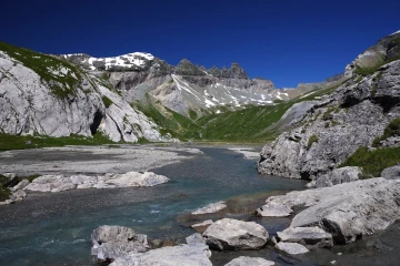 segnes2