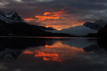 silssee