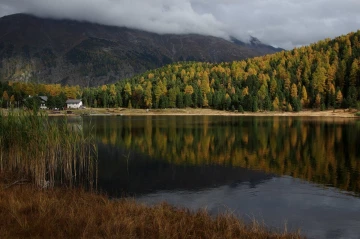 stazersee