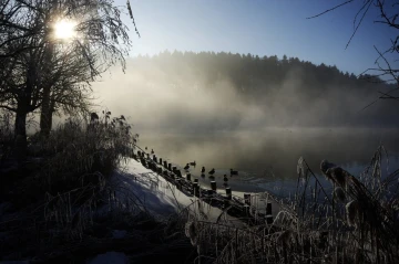 tuerlersee nebel4