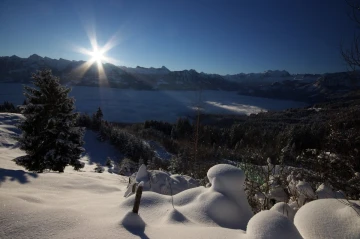 wintertraum1