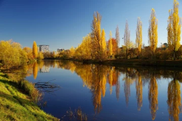 herbst limmat2