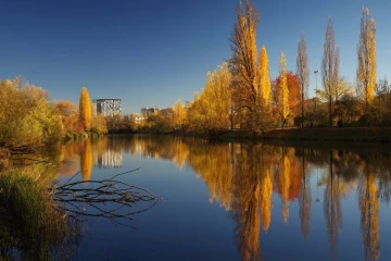 herbst limmat4