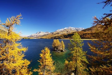 lerchen engadin1