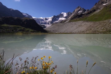 moiry