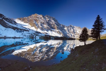 truebsee 1