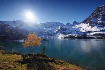 truebsee 24