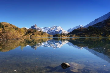 truebsee 3