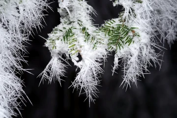 eiskristalle