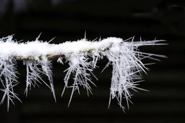 eiskristalle