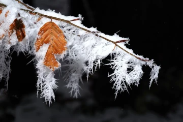 eiskristalle