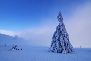 albis schnee