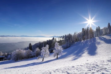albis schnee