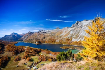 lerchen engadin