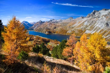 lerchen engadin