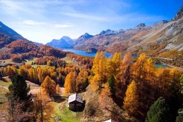 lerchen engadin