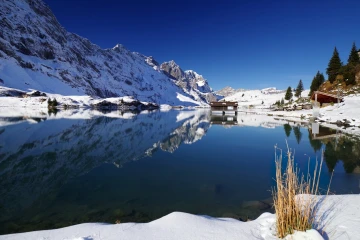 truebsee schnee