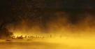 limmat